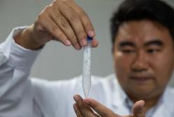 Ученые синтезировали крахмал из углекислого газа