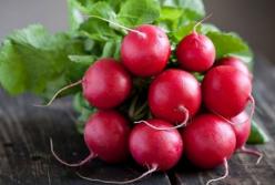 Названы болезни, от которых спасает редис