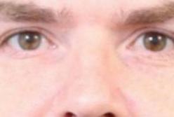 Ліквідація терориста в Києві: деталі спецоперації КОРДу в Голосіївському районі