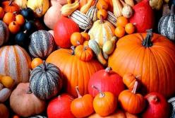 Медики назвали самые полезные продукты для почек