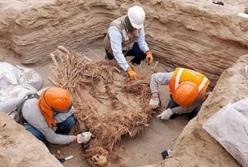 В Перу найдены мумии возрастом 800 лет