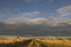 Прогноз погоды на 12 марта: тепло, но ветренно