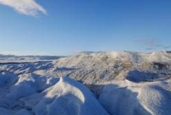Арктике грозят дожди и вымирание животных - ученые