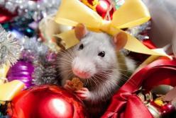 Каким Знакам восточного гороскопа повезет в 2020 году