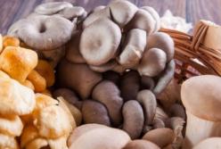 Врачи назвали простой и доступный источник витамина D