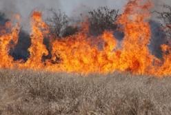 Под Киевом в сгоревшей траве нашли тело мужчины