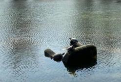 В Киеве на Виноградаре по озеру плавают черепахи в кресле