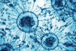 Новий штам COVID-19 «Цикада» поширюється світом: що відомо про ризики для дітей