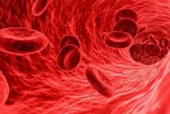 Врачи рассказали о продуктах, повышающих гемоглобин в крови