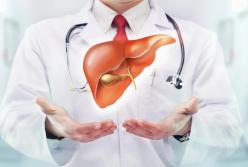 Названы самые полезные продукты для здоровья печени