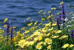 Лето жарким не будет: синоптик дал неожиданный прогноз