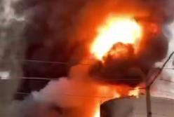 Запаси соняшникової олії женевської компанії розбомбили на Одещині, дорогами течуть річки олії (відео)