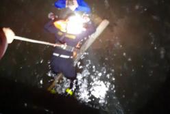 На Киевщине женщина провалилась под лед (видео)