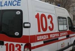 В Днепре умер двухлетний малыш, которого растерзали домашние овчарки