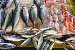 Специалисты рассказали, какая рыба считается наиболее полезной для организма