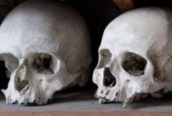 В затопленных мексиканских пещерах обнаружили четыре загадочных черепа 