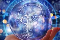 В Китае создали ИИ, который помогает выращивать искусственные эмбрионы