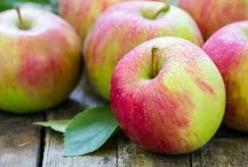 Назван фрукт, который поможет снизить «плохой холестерин»