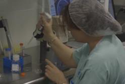 Впервые удалось «создать жизнь» из искусственной клетки