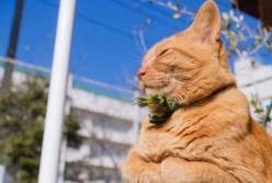 Прогноз погоды на 21 сентября: дожди переместились на восток