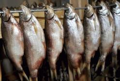 Названа самая опасная рыба для здоровья