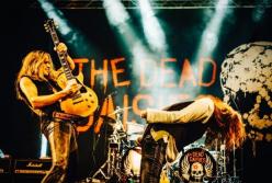 В лучших традициях настоящего рок-н-ролла: в Киев едет супергруппа The Dead Daisies