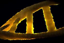 Ученые нашли гены, которые активируются после смерти человека