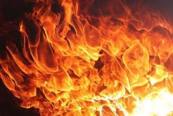 В Одесской области горела заброшенная база отдыха (видео)