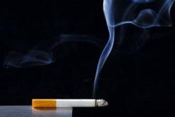 Названы продукты, которые выводят никотин из организма