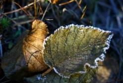 Прогноз погоды на 30 октября: холодно, ночью заморозки (карта)