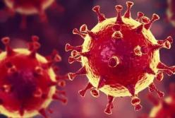 Ученые нашли препарат, полностью нейтрализирующий коронавирус