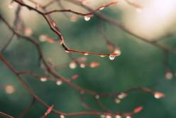 Прогноз погоды на 18 декабря: зима продолжает преподносить сюрпризы 