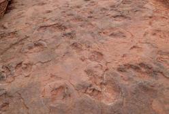 Археологи нашли «танцпол динозавров»