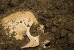 Во Франции раскопали могилу «принцессы» железного века