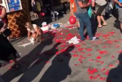 В Харькове националисты сорвали акцию агитаторов "Партии Шария" (видео)