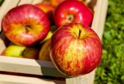 Названы продукты, повышающие энергию