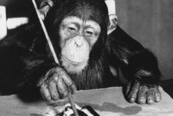 Выставка картин шимпанзе пройдет в Лондоне (фото)