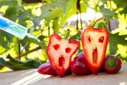 Медики назвали самые опасные ГМО продукты