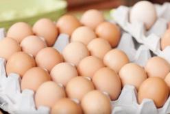 Эксперты рассказали, нужно ли мыть куриные яйца перед едой
