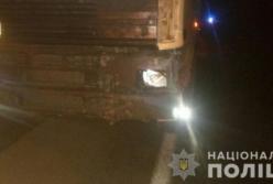 На трассе Киев-Одесса грузовик насмерть сбил мужчину