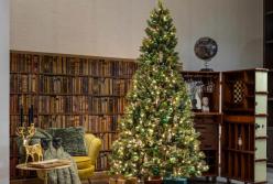 Стиль і пропорції: як підібрати ялинку під розмір і характер інтер’єру