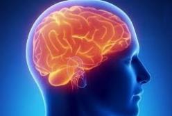 Врачи назвали продукты, которые ухудшают работу мозга