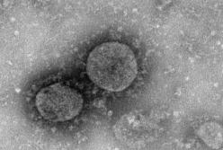 В Гонконге заявили о создании вакцины против коронавируса