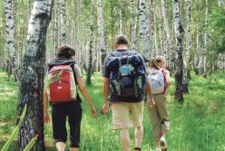 Как уберечься от клещей в лесу: важные советы