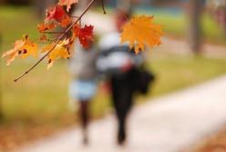 Два температурных рекорда зафиксировано в Киеве