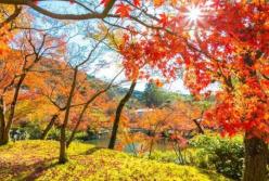 Аномальное тепло: синоптики изменили прогноз погоды на ноябрь