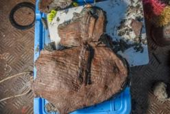 В Египте археологи нашли корзину с фруктами возрастом 2400 лет