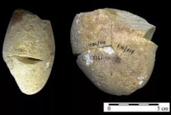 Археологи обнаружили в Израиле загадочный инструмент, которому 350 тыс. лет (фото)