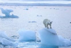 Из-за глобального потепления море в Арктике впервые не замерзло 
