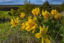 Прогноз погоды на 27 апреля: прохладно, местами дожди